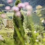 Montana 霍弗根