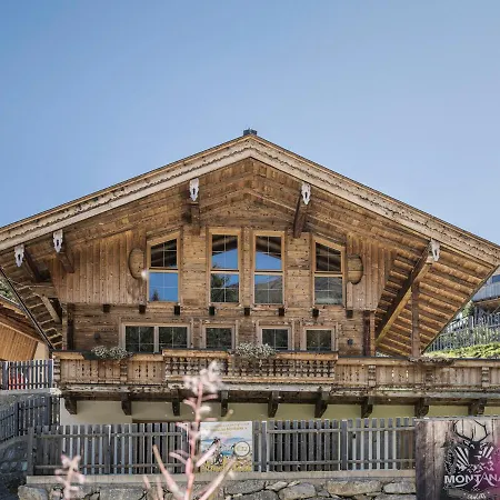 Appart&chalet Montana Apartment Hochfügen