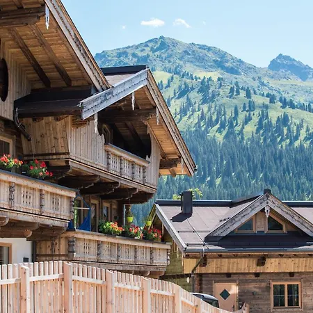 Appart&chalet Montana Hochfügen